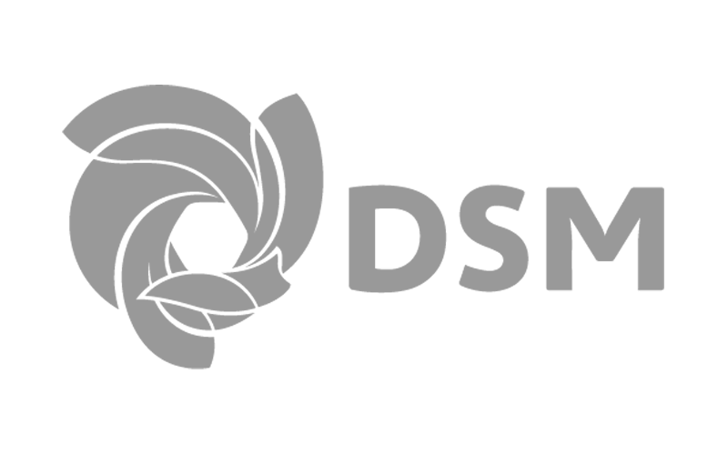 DSM DSM